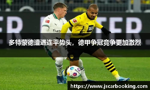 哈哈体育官网